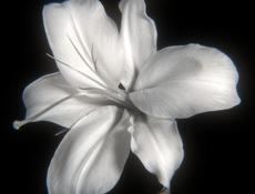 Возьмите меня на работу🙏🏻