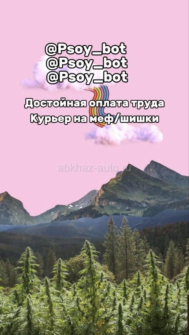 Требуется курьер на меф/шишки