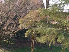 Продаю трехкомнатную квартиру 