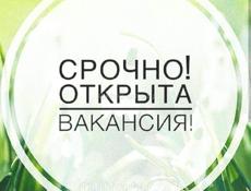 Требуется повар!