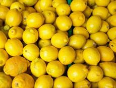 Продаю лимоны