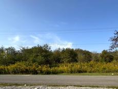 продажа участка с.Мерхеул (абх. Мархьаул) Гулрыпшский район