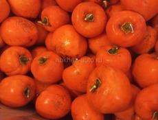 Хурма разная 