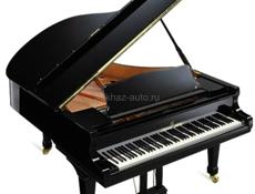 Уроки игры на фортепиано , 