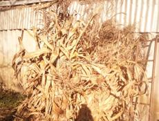 Продам чало 