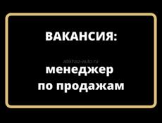 Менеджер по продажам автомобилей 