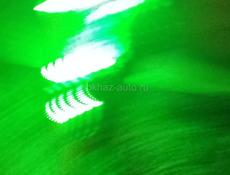 Паидём на сбор мандарин 