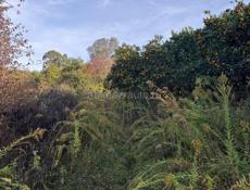 На покос травы 