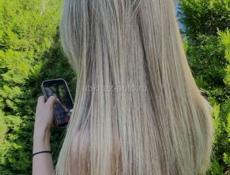 Срочно!Группа пойдём на сбор мандаринов!Мы на своём транспорте!