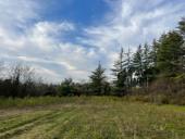 Продается земельный участок. 50 соток‼️