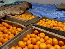 Мандарины 4,5 тонны