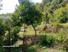 Продаю дом с участком