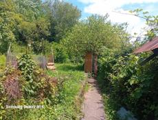 Продаю дом с участком