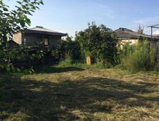 Продается дом с участком 