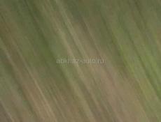 Пойдём на сбор мандарин 