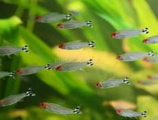 Много интересного 