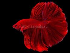 Много интересного 