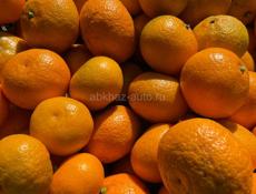 Продаю мандарины