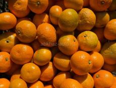 Продаю мандарины