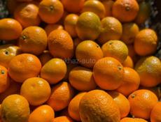 Продаю мандарины