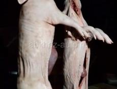 Продаются чищенные поросята