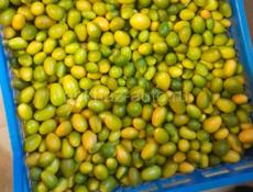 Продаётся кункват