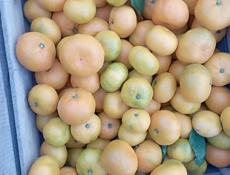 Продаю мандарины. Всё подряд