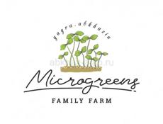 Микрозелень 