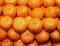 Ищем работу на сбор мандарин 🍊 