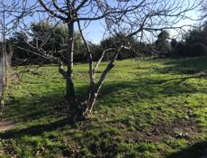 Участок с документами