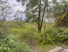 АЭРОПОРТ только сегодня 500 тр