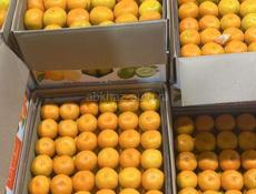 Мандарин собрание 