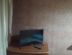 Сдам студию