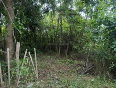 Продам участок до море 500 метров Алахадзы 