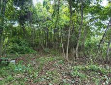 Продам участок до море 500 метров Алахадзы 