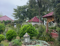 ПРОДАЕТСЯ АПАЦХА ‼️❗️‼️