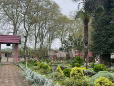 АПАЦХА НА БЕЛОЙ 