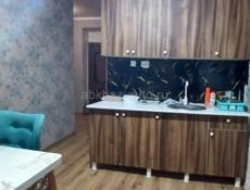 Гумста Массив 