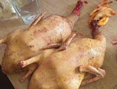 Продам уток чишеных( пекинские утки)