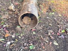 Продаю трубы 