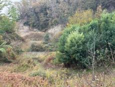 Земельный участок 