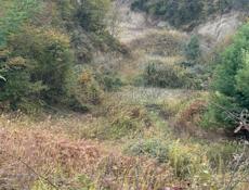 Земельный участок 