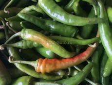 Зелёный перец