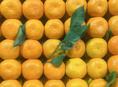 Мандарин около 12т