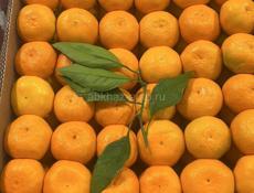 Мандарин около 12т