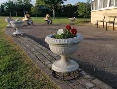 Продажа вазоны горшки для цветов 