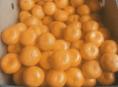 Мандарины 