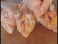 Продам Курей домашних живых и чищеных 