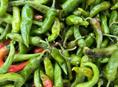Острый перец зеленый