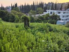 Участок по царской аллее 